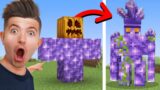 100 Myths Minecraft is HIDING From You!
