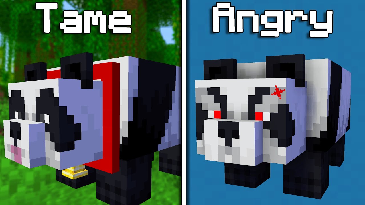 20 Things You Didn't Know About PANDA In Minecraft (Hindi) - Minecraft ...