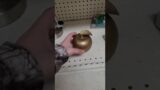 Guy Finds a Golden Apple in Real Life #minecraft