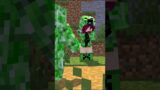 Hero Creeper – Minecraft Animation