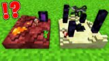 How JJ and Mikey Found TINY DEMENSION : NETERH vs END in Minecraft Maizen!