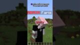 I Found a Staff Member Abusing On My Minecraft Server