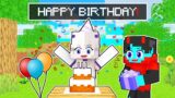 It's SHEYYYN's BIRTHDAY in Minecraft!