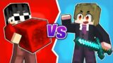 JUNGKurt's COLOR vs Kenji's COLOR In Minecraft!