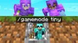 Minecraft Manhunt (1V2) But I Secretly Used TINY Mode…