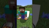 POV: saved my laggy dog with connection 0 in Minecraft (INSANE) #shorts #meme #memes