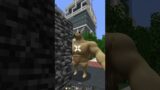 POV: that laggy village with ping 2112 in Minecraft (INSANE) #shorts #meme #memes