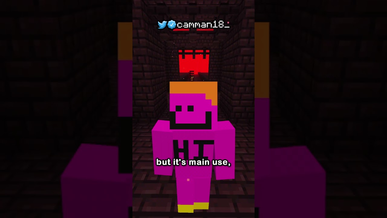 The New Minecraft Item Is Insane Minecraft Videos