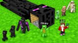 Why Did Mikey and JJ Transform Mobs Into Enderman in Minecraft? (Maizen)