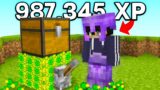 Why I Secretly Duped 2,063,798 XP in this Minecraft SMP…