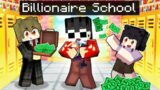 Going To BILLIONAIRE SCHOOL In Minecraft!