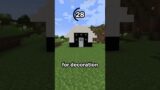 Guess the Minecraft block in 60 seconds 10