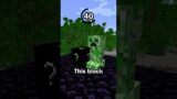 Guess the Minecraft block in 60 seconds 11