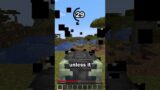 Guess the Minecraft block in 60 seconds 9