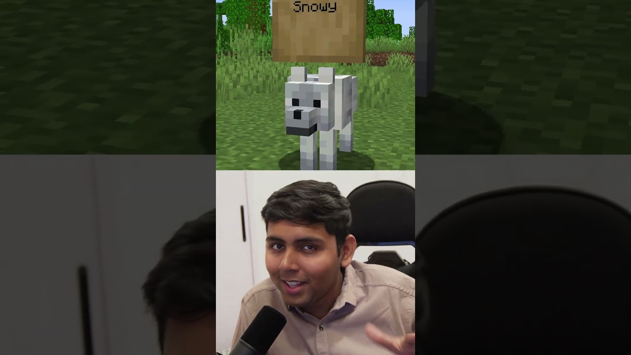 Minecraft Added 9 New Wolves... - Minecraft videos