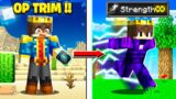 Minecraft But You Can CRAFT SUPER OP TRIMS !!