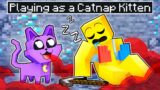 Playing as a CATNAP KITTEN in Minecraft!
