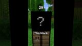 Guess the Minecraft block in 60 seconds 18