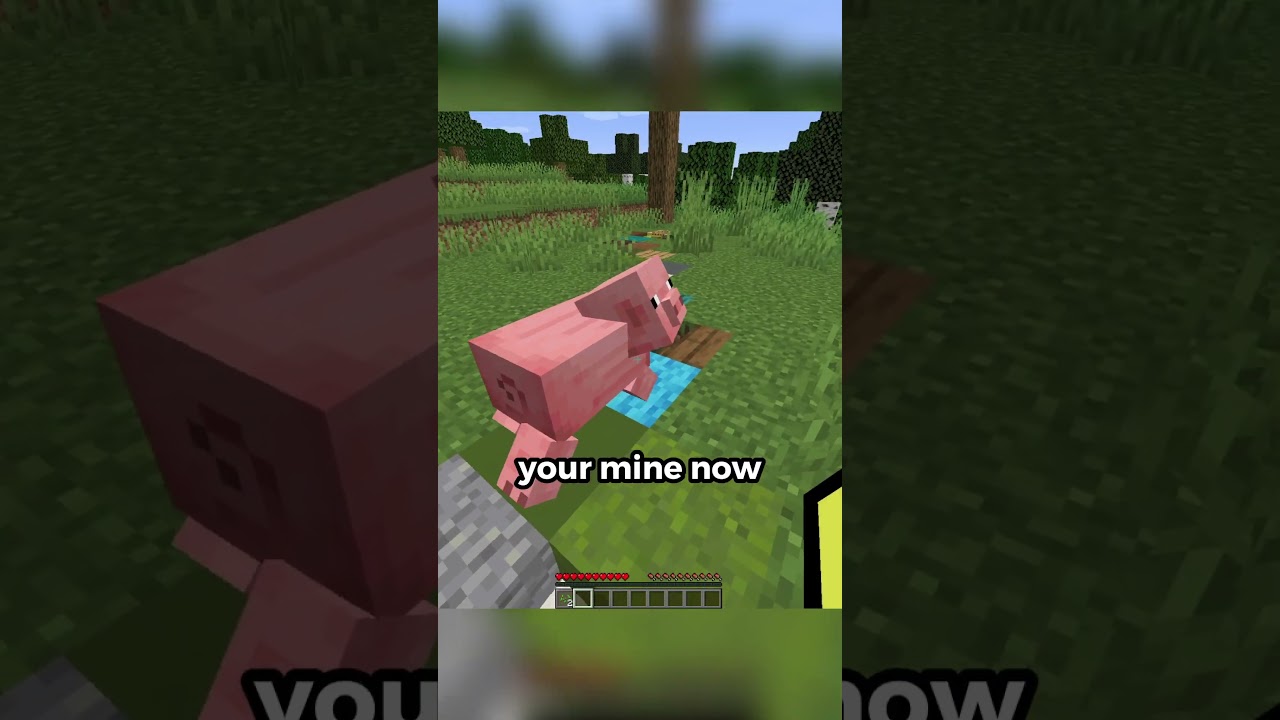 Minecraft But Blocks Are Random - Minecraft videos