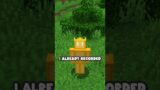 Minecraft, But Nothing Happens…