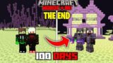 We Survived 100 Days In The END In Minecraft Hardcore | LordN Gaming