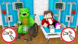 What Happened To JJ and Mikey in Minecraft? (Maizen)