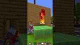 You 100% did not try this secret feature in Minecraft #nico #meme #memes