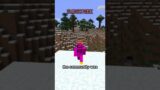 the silliest thing in minecraft