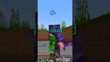 I Got Trolled On My Minecraft Server