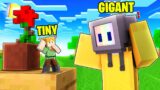 MAIN TINY SE GAINT BAN GEYA | MINECRAFT