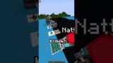 Minecraft Telepathy 10