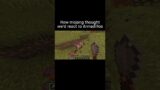 Minecraft how we react to Armadillos