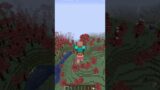 Minecraft meme #shorts