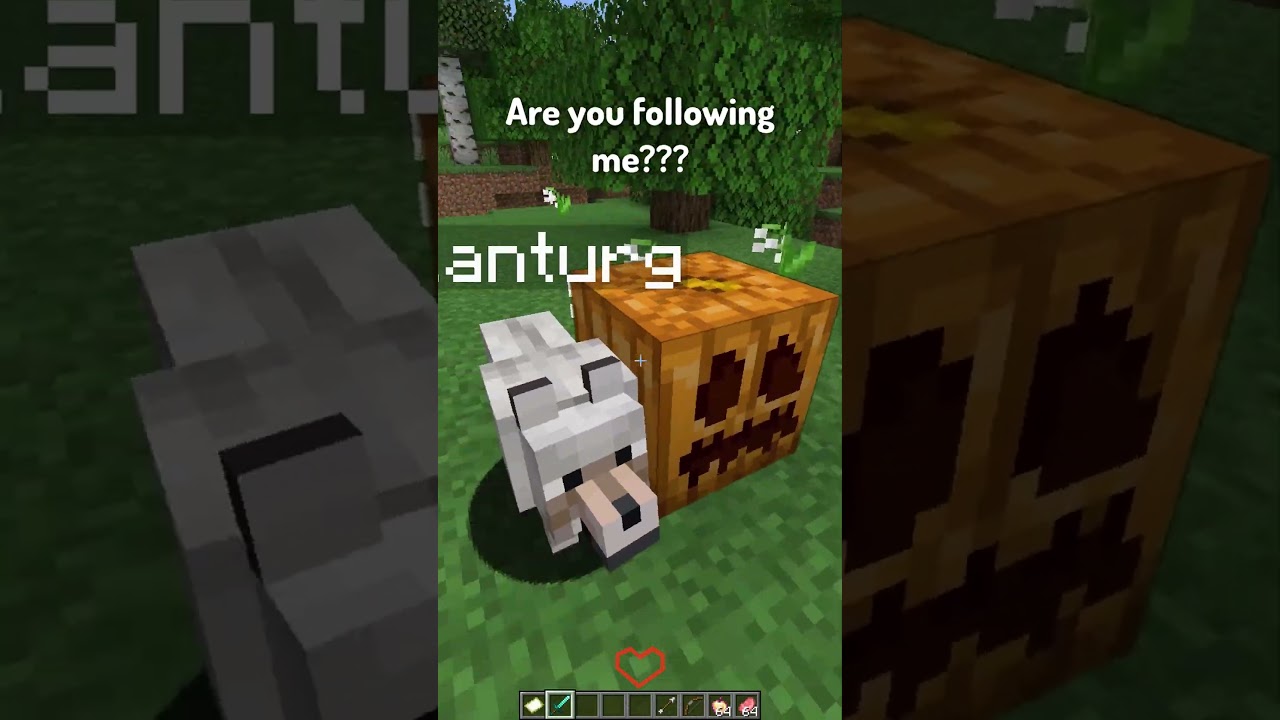 Top 5 Worst Blocks in Minecraft Minecraft videos