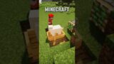 Types Of Youtubers In Minecraft | #shorts #minecraft