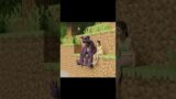 What happened to the cat? #cat #minecraft