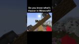 Minecraft Realistic Physics