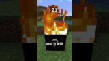 Guess the Minecraft block in 60 seconds 29