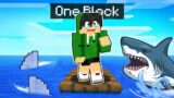 Minecraft, But Esoni was STUCKED in ONE RAFT (Tagalog)