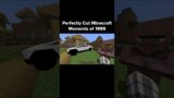 Minecraft Perfectly Cut