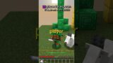 Minecraft scammer