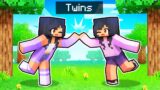 Playing Minecraft With My TWIN SISTER!
