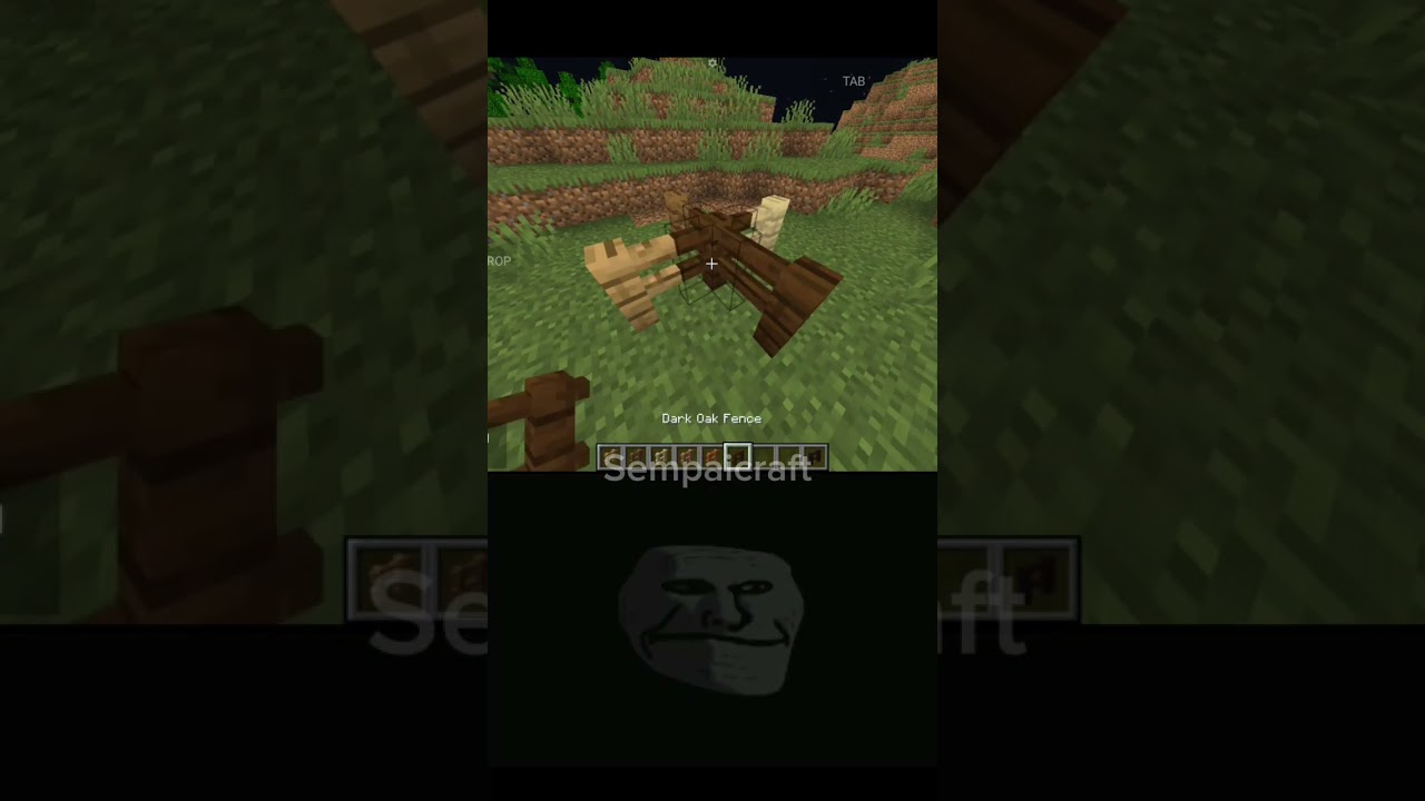 Racist Minecraft Minecraft Minecrafthumor Ytshorts Mincraftfunny