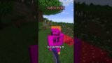 what's the rarest enchantment in minecraft?