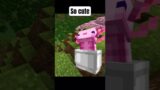 Minecraft meme