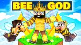 Becoming a BEE GOD in Minecraft! (Hindi)