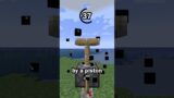 Guess the Minecraft block in 60 seconds 38