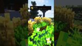 Minecraft Best Resource Pack Comparison #shorts