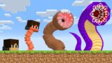 Minecraft, But You turn into a WORM!