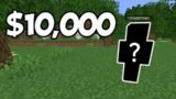 Most Expensive Minecraft Account